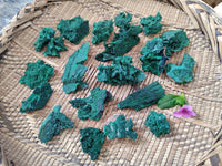 Natural Silky Crystalline Malachite Blade Pseudomorphs after Azurite Specimens x 22 From Tenke Fungurume, Congo
