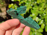 Natural Silky Crystalline Malachite Blade Pseudomorphs after Azurite Specimens x 22 From Tenke Fungurume, Congo