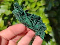 Natural Silky Crystalline Malachite Blade Pseudomorphs after Azurite Specimens x 22 From Tenke Fungurume, Congo