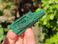 Natural Silky Crystalline Malachite Blade Pseudomorphs after Azurite Specimens x 22 From Tenke Fungurume, Congo