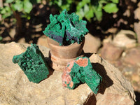 Natural Silky Crystalline Malachite Blade Pseudomorphs after Azurite Specimens x 22 From Tenke Fungurume, Congo
