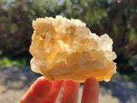 Natural Golden Limonite Quartz Clusters x 12 From Solwezi, Zambia