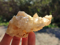 Natural Golden Limonite Quartz Clusters x 12 From Solwezi, Zambia
