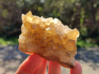 Natural Golden Limonite Quartz Clusters x 12 From Solwezi, Zambia
