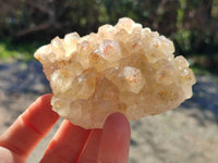 Natural Golden Limonite Quartz Clusters x 12 From Solwezi, Zambia