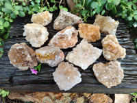 Natural Golden Limonite Quartz Clusters x 12 From Solwezi, Zambia