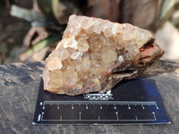Natural Golden Limonite Quartz Clusters x 12 From Solwezi, Zambia