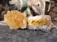 Natural Golden Limonite Quartz Clusters x 12 From Solwezi, Zambia