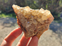 Natural Golden Limonite Quartz Clusters x 12 From Solwezi, Zambia