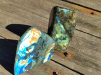 Polished Labradorite Standing Free Form x 3 From Tulear, Madagascar