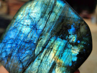 Polished Labradorite Standing Free Form x 3 From Tulear, Madagascar