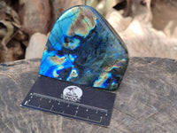Polished Labradorite Standing Free Form x 3 From Tulear, Madagascar