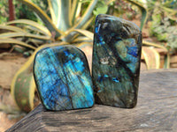Polished Labradorite Standing Free Form x 3 From Tulear, Madagascar