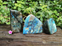 Polished Labradorite Standing Free Form x 3 From Tulear, Madagascar