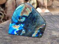 Polished Labradorite Standing Free Form x 3 From Tulear, Madagascar