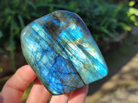 Polished Labradorite Standing Free Form x 3 From Tulear, Madagascar