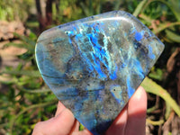 Polished Labradorite Standing Free Form x 3 From Tulear, Madagascar