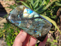 Polished Labradorite Standing Free Form x 3 From Tulear, Madagascar