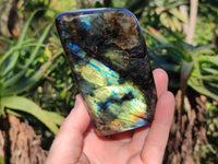 Polished Labradorite Standing Free Form x 3 From Tulear, Madagascar
