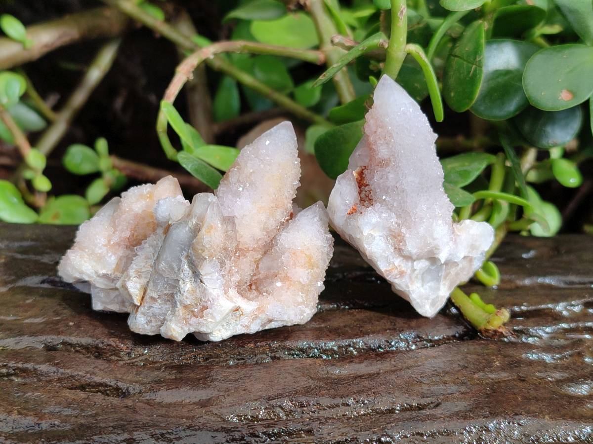 Natural Amethyst Spirit Quartz Clusters x 35 From Boekenhouthoek, South Africa - Toprock Gemstones and Minerals 