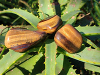 Polished Tiger's Eye Tumblestones x 35 From Prieska, South Africa - Toprock Gemstones and Minerals 