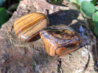 Polished Tiger's Eye Tumblestones x 35 From Prieska, South Africa - Toprock Gemstones and Minerals 