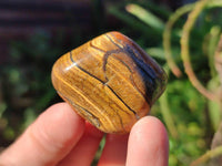 Polished Tiger's Eye Tumblestones x 35 From Prieska, South Africa - Toprock Gemstones and Minerals 
