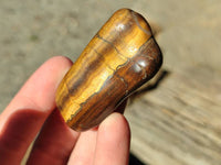 Polished Tiger's Eye Tumblestones x 35 From Prieska, South Africa - Toprock Gemstones and Minerals 