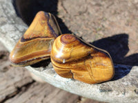 Polished Tiger's Eye Tumblestones x 35 From Prieska, South Africa - Toprock Gemstones and Minerals 