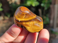 Polished Tiger's Eye Tumblestones x 35 From Prieska, South Africa - Toprock Gemstones and Minerals 