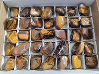 Polished Tiger's Eye Tumblestones x 35 From Prieska, South Africa - Toprock Gemstones and Minerals 