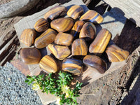 Polished Tiger's Eye Tumblestones x 35 From Prieska, South Africa - Toprock Gemstones and Minerals 