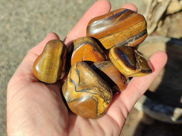 Polished Tiger's Eye Tumblestones x 35 From Prieska, South Africa - Toprock Gemstones and Minerals 