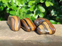 Polished Tiger's Eye Tumblestones x 35 From Prieska, South Africa - Toprock Gemstones and Minerals 
