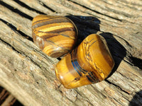 Polished Tiger's Eye Tumblestones x 35 From Prieska, South Africa - Toprock Gemstones and Minerals 