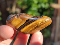 Polished Tiger's Eye Tumblestones x 35 From Prieska, South Africa - Toprock Gemstones and Minerals 