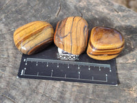 Polished Tiger's Eye Tumblestones x 35 From Prieska, South Africa - Toprock Gemstones and Minerals 