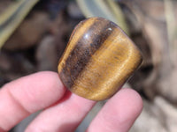 Polished Tiger's Eye Tumblestones x 35 From Prieska, South Africa - Toprock Gemstones and Minerals 