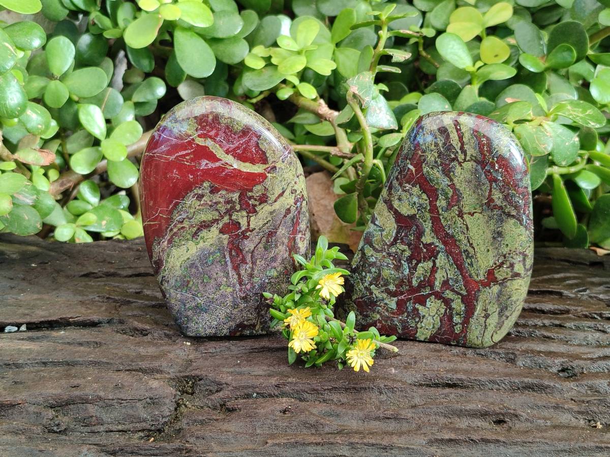 Polished Bastite Dragons Blood Stone Standing Free Forms x 2 From Tshipise, South Africa - Toprock Gemstones and Minerals 