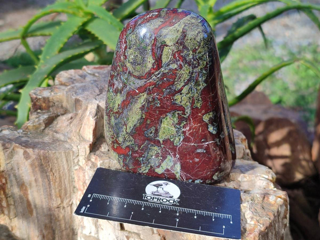Polished Bastite Dragons Blood Stone Standing Free Forms x 2 From Tshipise, South Africa - Toprock Gemstones and Minerals 
