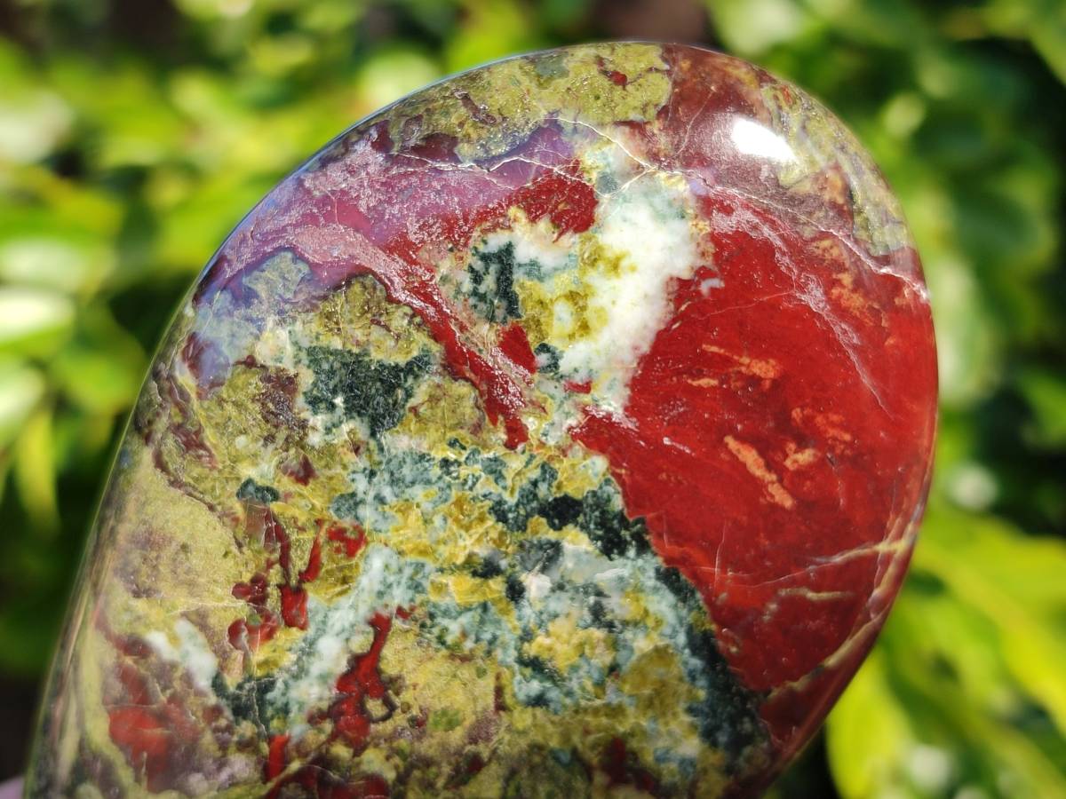 Polished Bastite Dragons Blood Stone Standing Free Forms x 2 From Tshipise, South Africa - Toprock Gemstones and Minerals 
