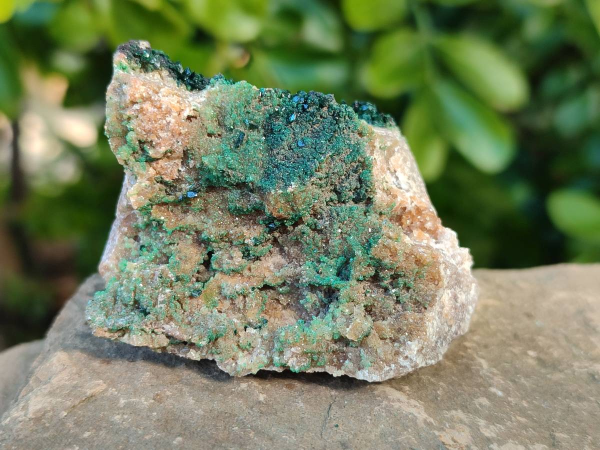 Natural Super Rare Crystalline Malachite on Dolomite Matrix Specimens x 6 From Tenke Fungurume, Congo - Toprock Gemstones and Minerals 