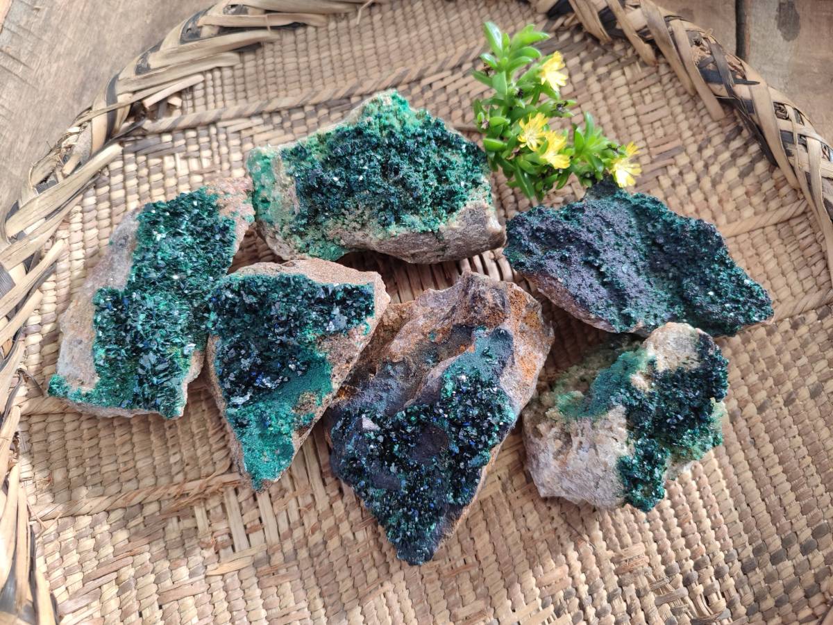 Natural Super Rare Crystalline Malachite on Dolomite Matrix Specimens x 6 From Tenke Fungurume, Congo - Toprock Gemstones and Minerals 