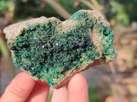 Natural Super Rare Crystalline Malachite on Dolomite Matrix Specimens x 6 From Tenke Fungurume, Congo - Toprock Gemstones and Minerals 