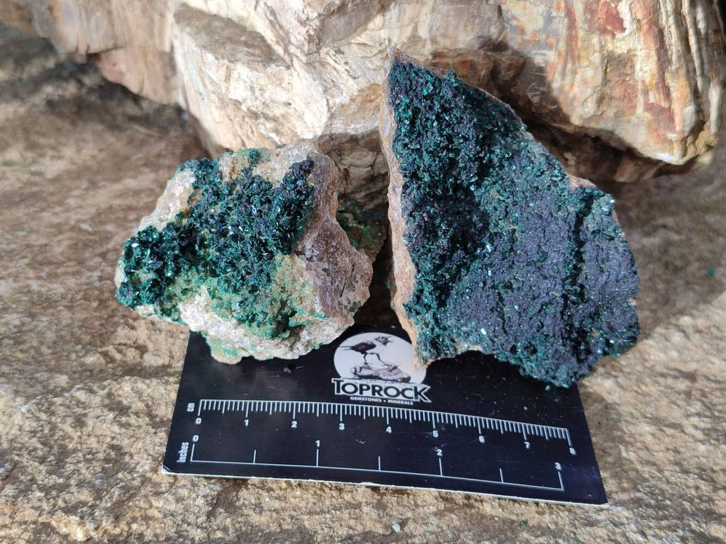 Natural Super Rare Crystalline Malachite on Dolomite Matrix Specimens x 6 From Tenke Fungurume, Congo - Toprock Gemstones and Minerals 