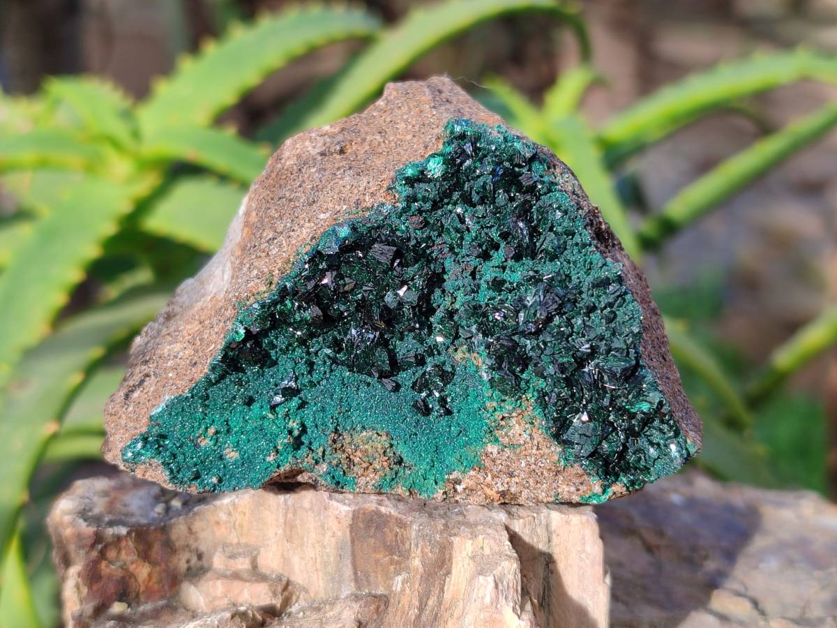 Natural Super Rare Crystalline Malachite on Dolomite Matrix Specimens x 6 From Tenke Fungurume, Congo - Toprock Gemstones and Minerals 
