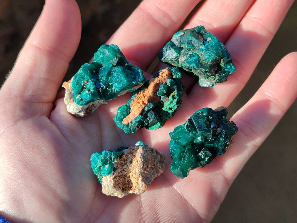 Natural Small Dioptase and Crystalline Malachite on Dolomite Matrix Specimens x 22 From Likasi, Congo - Toprock Gemstones and Minerals 
