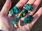 Natural Small Dioptase and Crystalline Malachite on Dolomite Matrix Specimens x 22 From Likasi, Congo - Toprock Gemstones and Minerals 