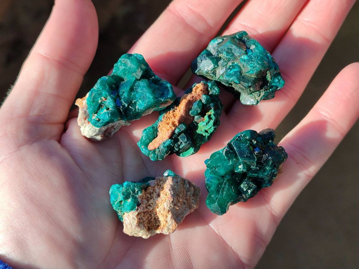 Natural Small Dioptase and Crystalline Malachite on Dolomite Matrix Specimens x 22 From Likasi, Congo - Toprock Gemstones and Minerals 