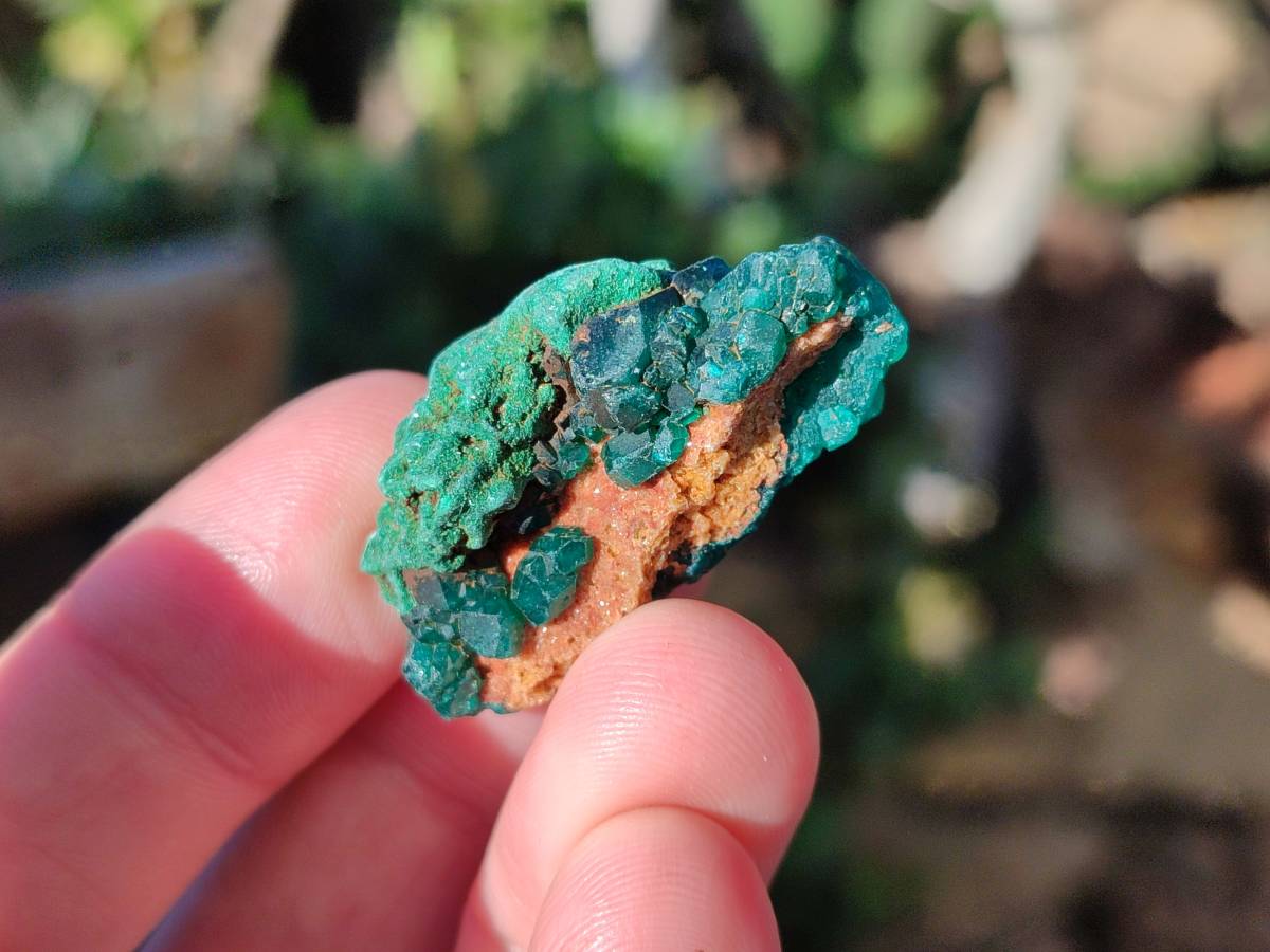 Natural Small Dioptase and Crystalline Malachite on Dolomite Matrix Specimens x 22 From Likasi, Congo - Toprock Gemstones and Minerals 